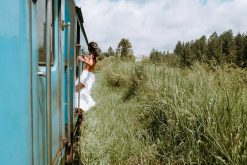 treasures of sri lanka 15 day itinerary - sri lanka local tours